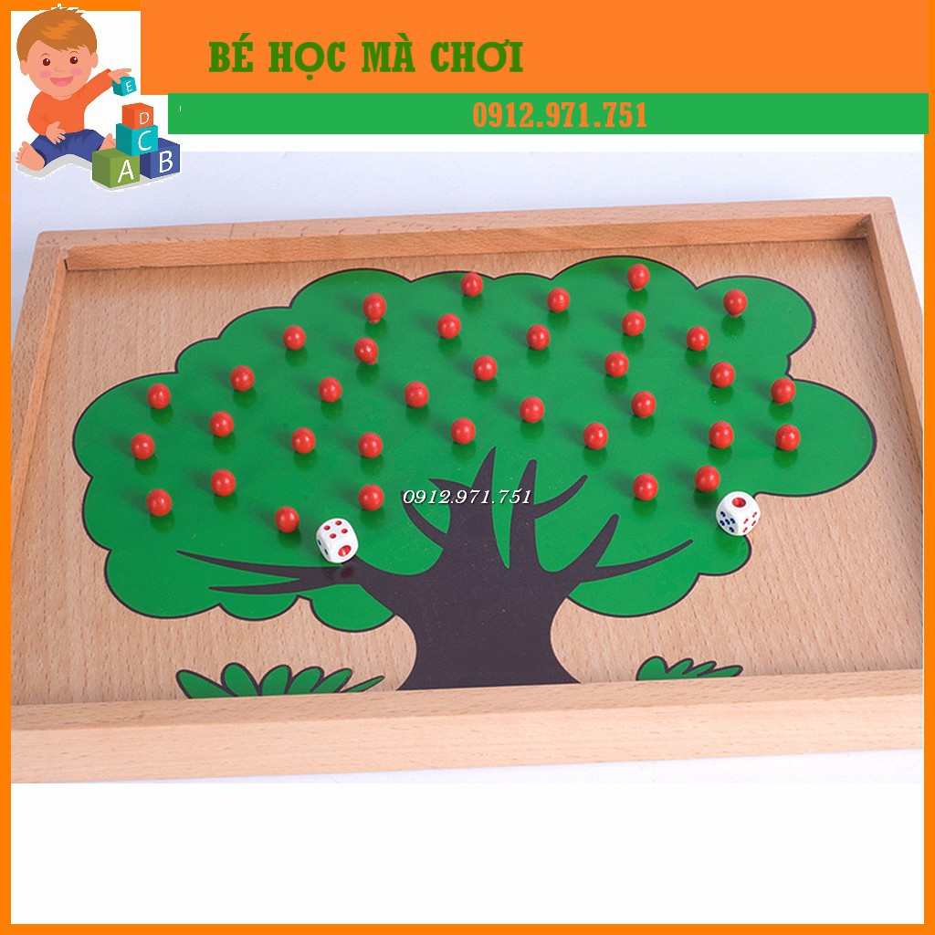 Giáo cụ Montessori - Cây táo học toán