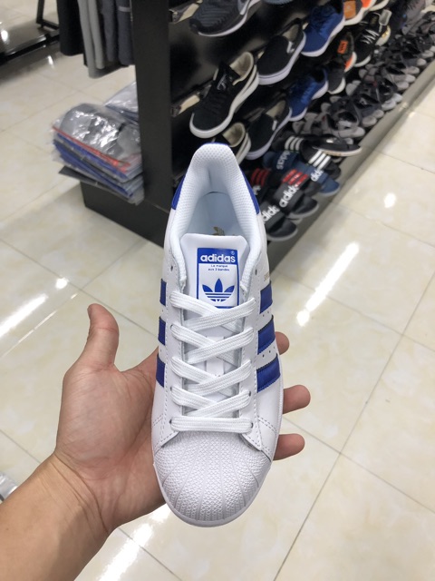 ❤️FREESHIP❤️Giày superstar mũi sò xanh dương cao cấp