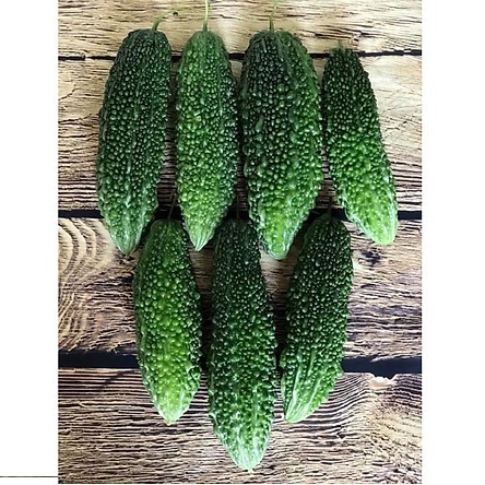 Hạt giống mướp đắng ( khổ qua ) gai xanh