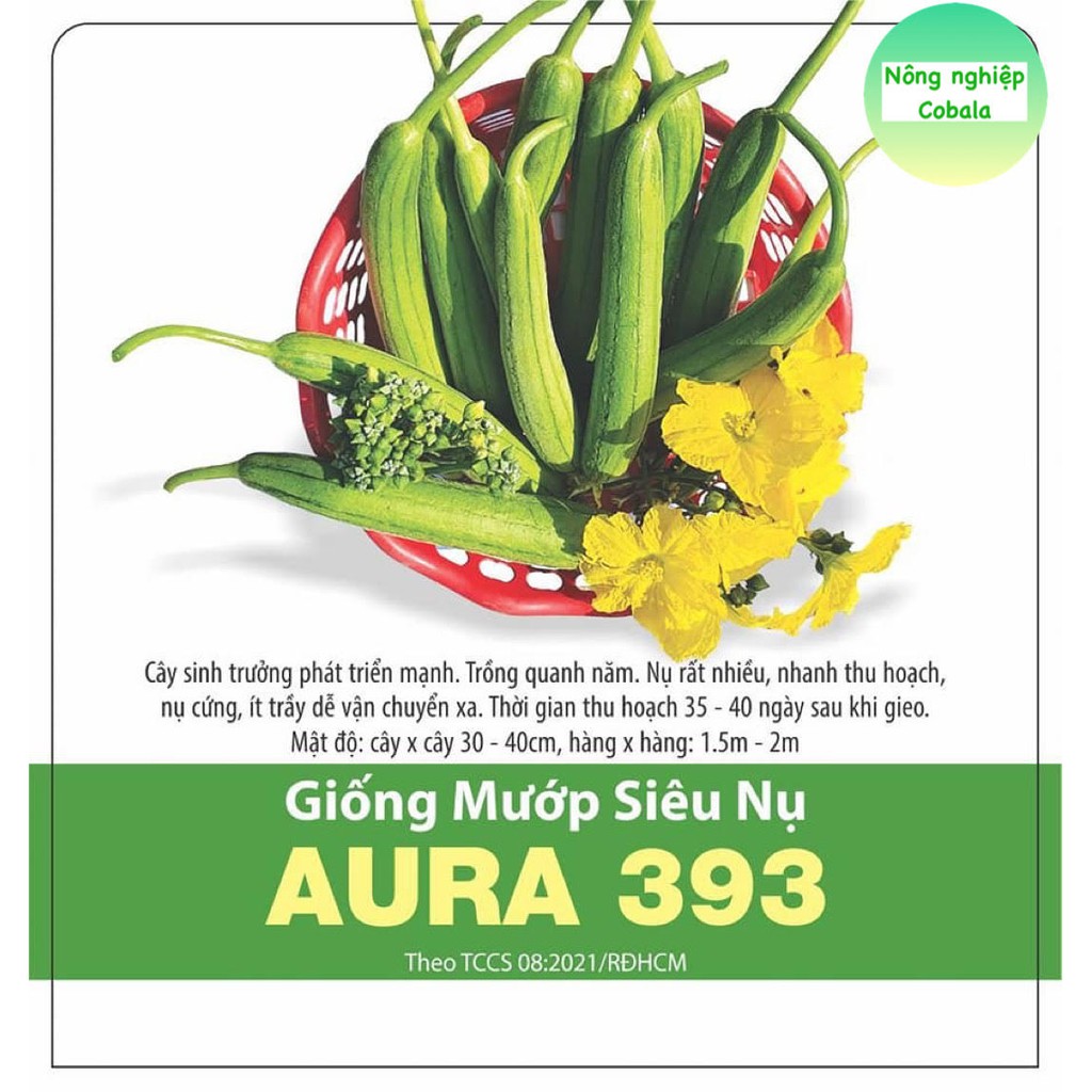 Hạt Giống Mướp Siêu Nụ (AURA393) 1gr