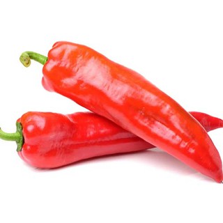 Hạt Giống Ớt sừng RAĐO 122