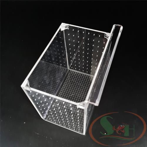 Box mica Taiwan DIY lồng tách dưỡng cây cá tép sinh sản móc treo thành hồ