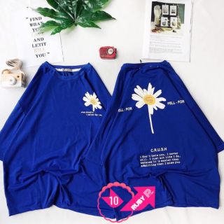 Áo thun cotton hoa cúc mẫu mới