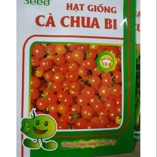 Hạt giống cà chua bi đỏ - Rau củ quả trồng tại vườn, sân thượng, nông trang, ban công