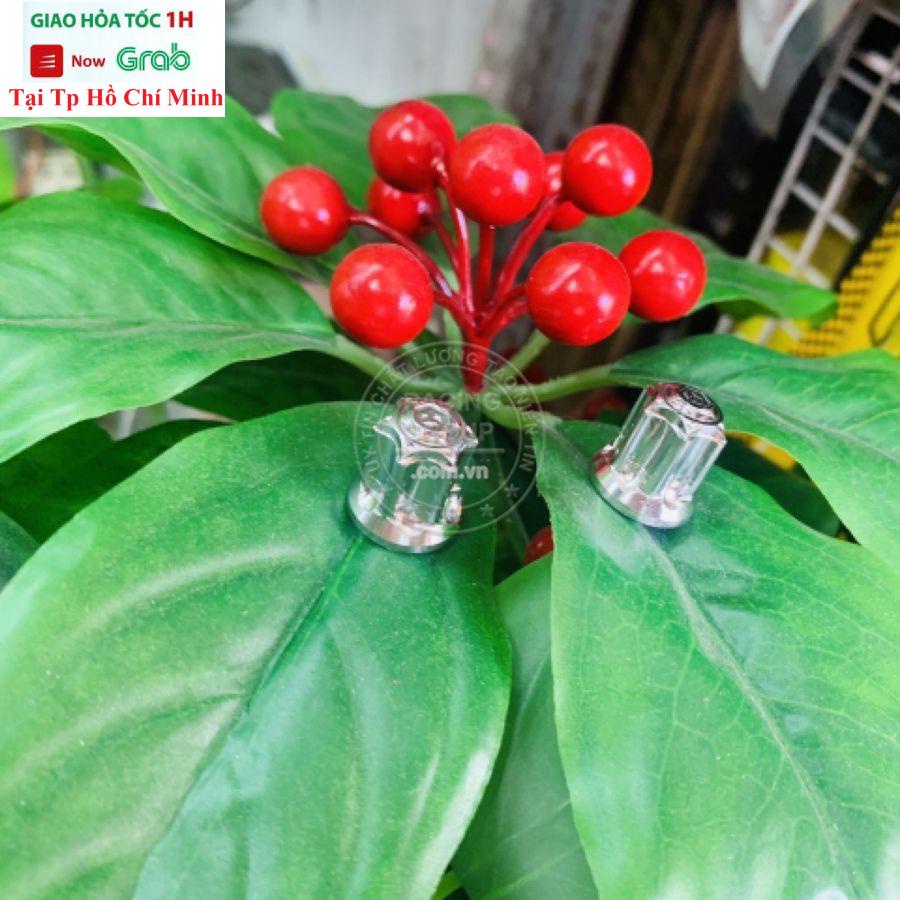 Chụp Van Vòi Salaya Chất Liệu Inox Không Xuống Màu Gắn Cho Mọi Loại Xe (Giá 1 Cặp )