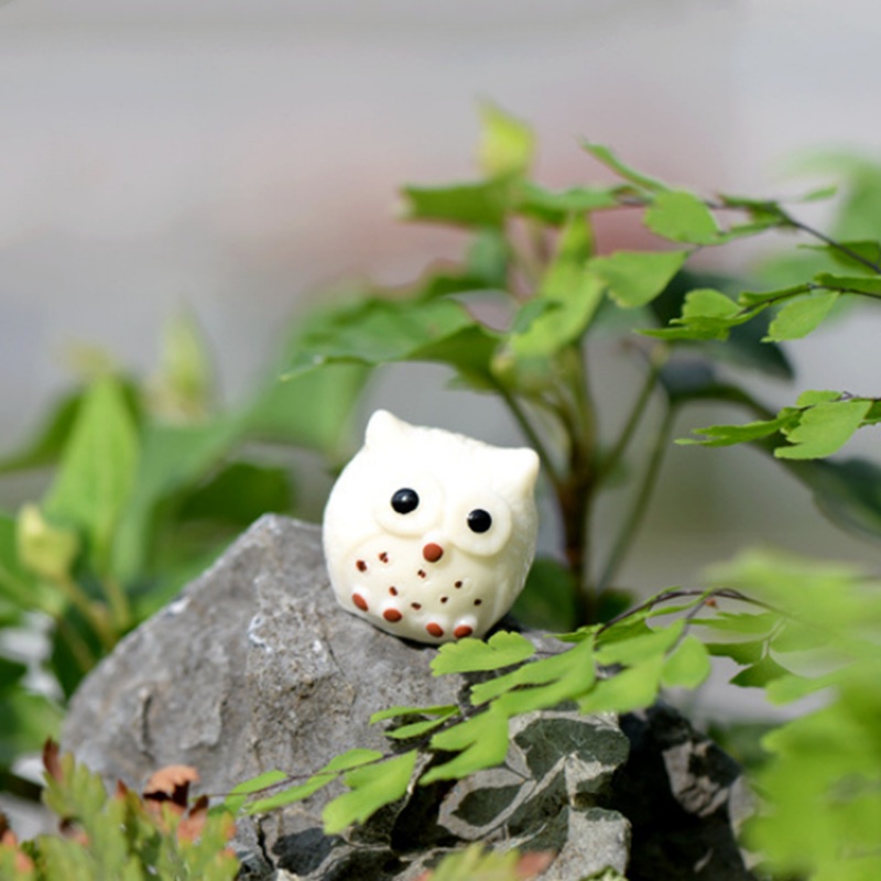 1 Đồ trang trí Chim Cú Trang Trí Vườn Cây Bonsai