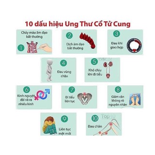 Tố nữ Hoàng Sâm - Đề án 818 Bộ Y Tế