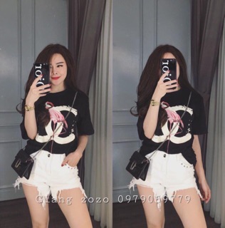 Áo hạc