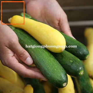 10 - HẠT GIỐNG BÍ NGÒI Hạt Giống Nông Trại Xanh