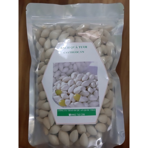 500g/1Kg BẠCH QUẢ TƯƠI - Đựng Trong Túi Lưới