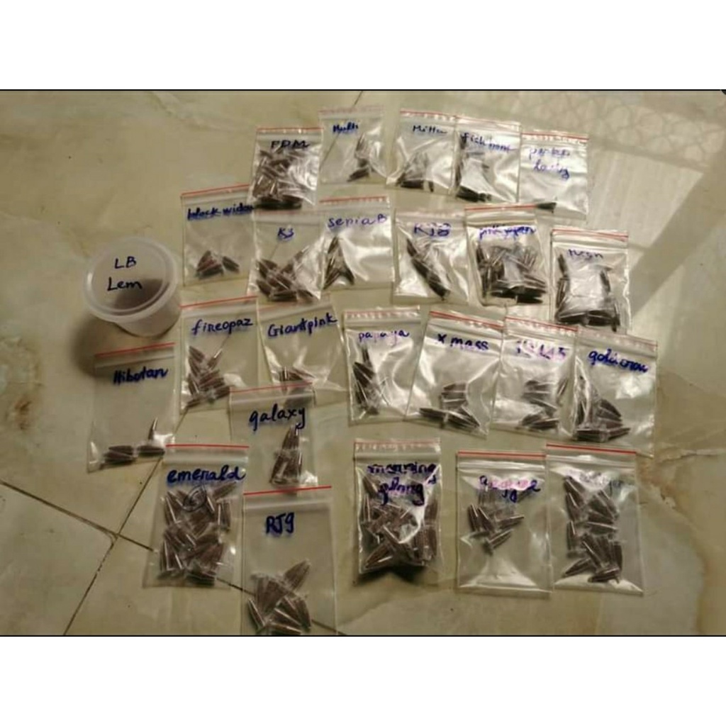 Gói 100 hạt xương rồng Gym Moon Stone