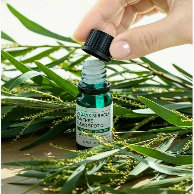 tinh dầu tràm 10 ml