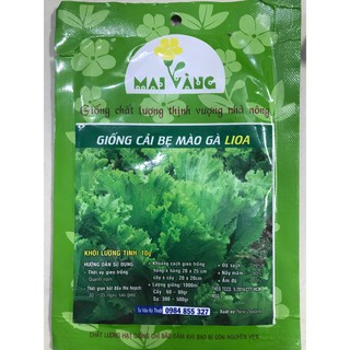 Hạt giống Cải bẹ mào gà 10g