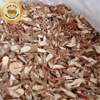 Sâm cau đỏ khô Tây Bắc hàng đẹp