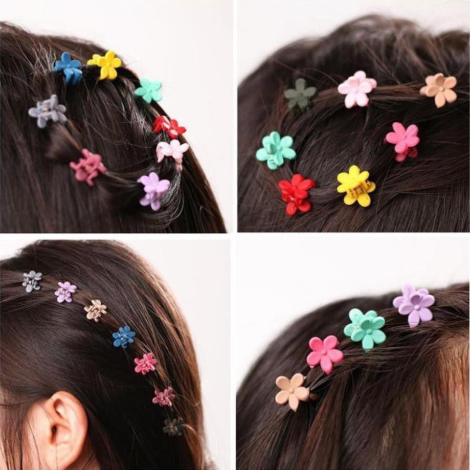 Sét 10 kẹp hoa mini nhiều màu sắc đáng yêu