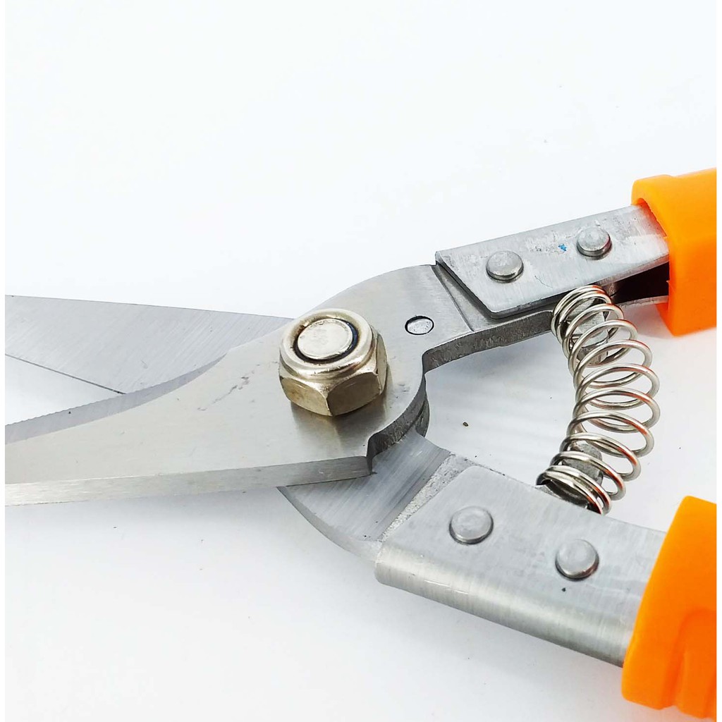 KÉO CẮT TỈA CÀNH MỎ THẲNG CAO CẤP