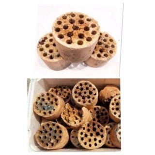 Xỉ than tổ ong siêu lọc nước nuôi vi sinh cây cá cảnh