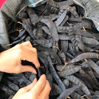 Quả bồ kết 1 kg siêu chạy hàng