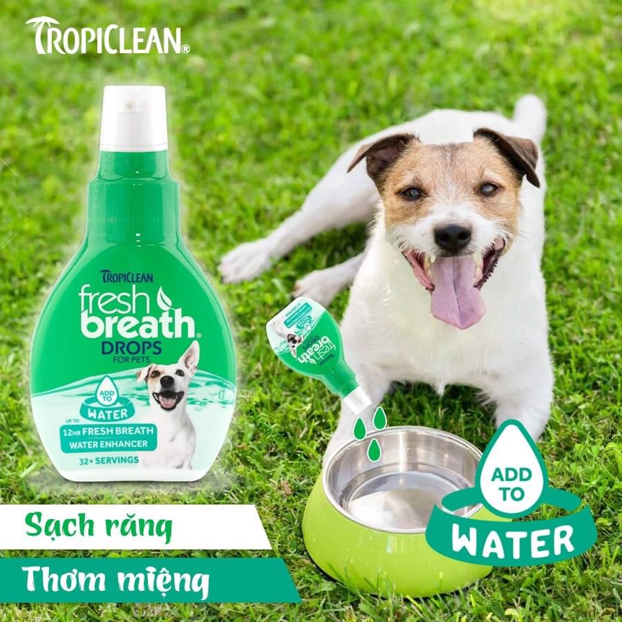 65ml - FRESH BREATH NƯỚC CHĂM SÓC RĂNG MIỆNG CHO CHÓ DẠNG ĐẬM ĐẶC - DROPS BY TROPICLEAN FOR DOG