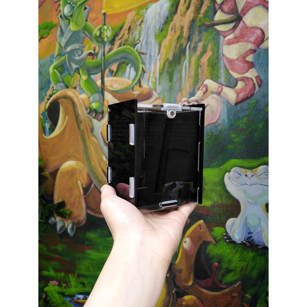 Tank Mica cho nhện - Hộp mica nuôi côn trùng nhện, bọ cạp cảnh - Vietpetgarden