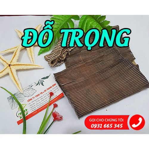 Đỗ Trọng 100g - Sản Phẩm Đạt Chất Lượng