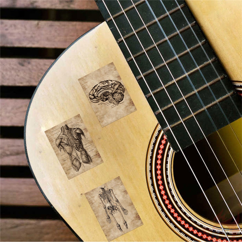 ❉ Hình Dán Nghệ Thuật Giải Phẫu Con Người Cổ Điển Series 01 ❉ Bộ 55 Sticker Chống Thấm Nước Họa Tiết Doodle Hợp Thời Trang