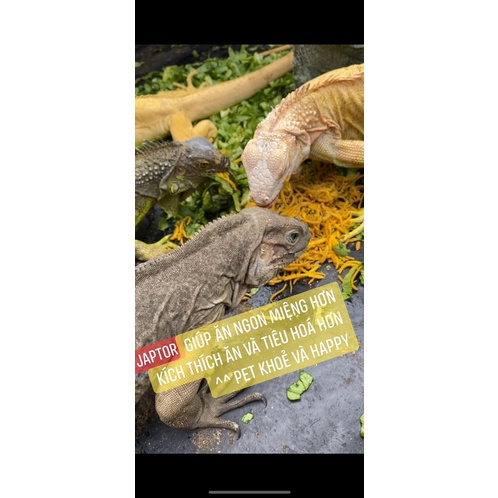 JAPTOR THỨC ĂN - BỘT DINH DƯỠNG CHO IGUANA RỒNG NAM MỸ, RỒNG ÚC, RÙA CẠN SULCATA, BÒ SÁT + Men vi sinh. giá rẻ. cấp tốc.