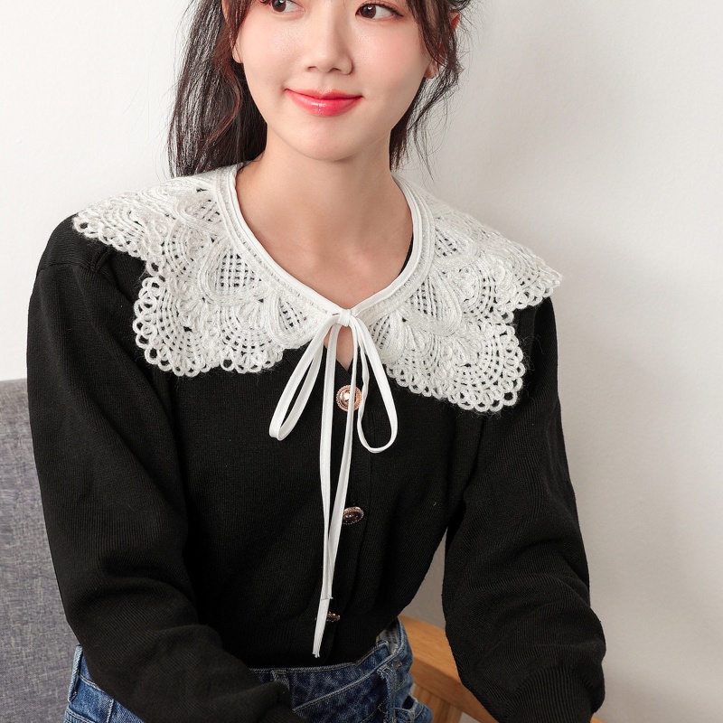 Cổ Áo Ren Rỗng Thêu Họa Tiết Có Thể Tháo Rời