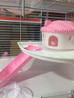 Lồng nuôi chuột hamster size 47.30cm ( full phụ kiện )