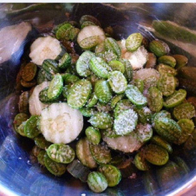 Hạt giống dưa hấu tí hon - 1 gói 10 hạt - Tặng gói kích hạt nảy mầm