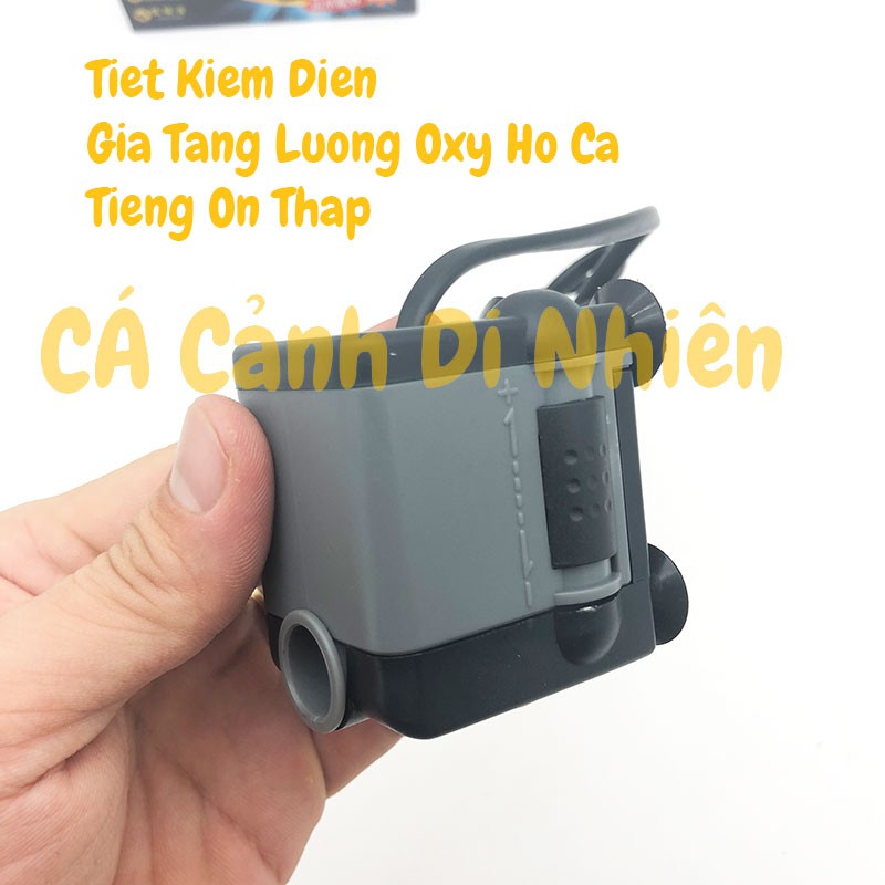 Máy bơm nước ATMAN 302S AT-302S 5W lọc nước cho hồ cá cảnh