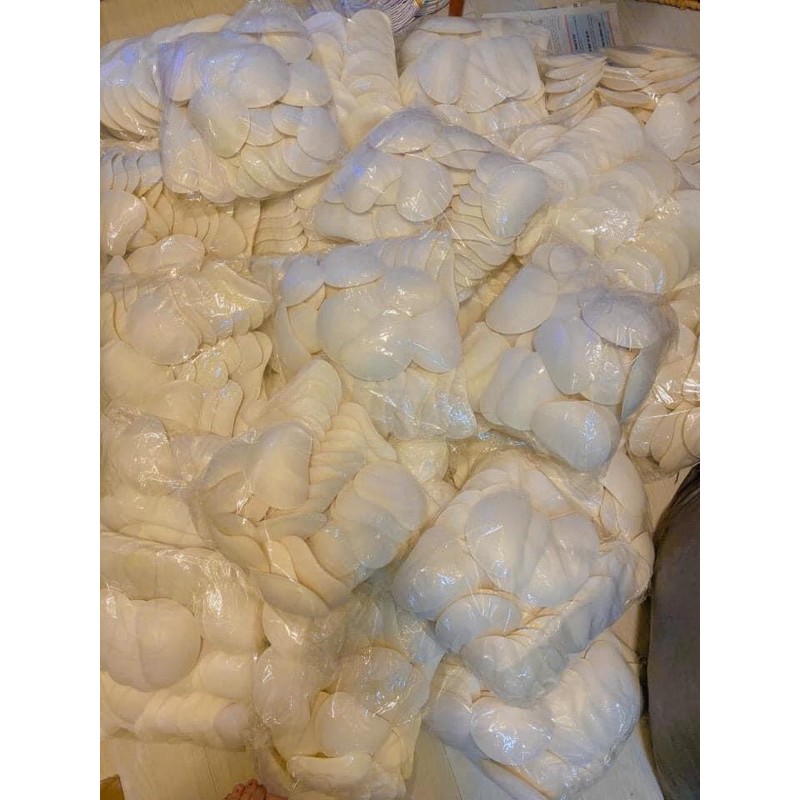 [ FREESHIP] Mút xoài độn ngực cho bikini