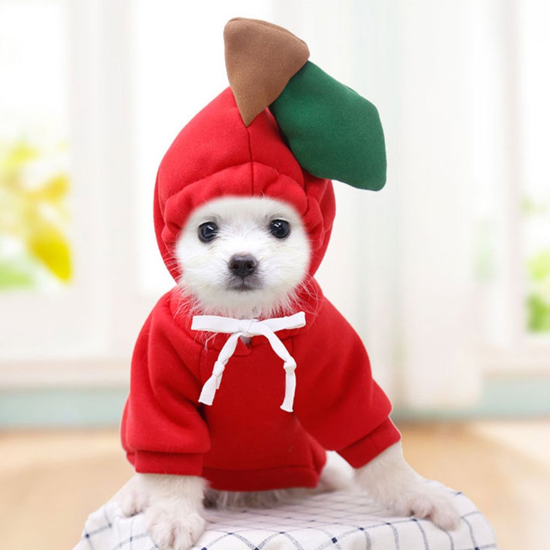 Áo Hoodie Họa Tiết Trái Cây Dễ Thương Cho Thú Cưng