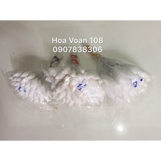 Nụ gòn dài 3 size