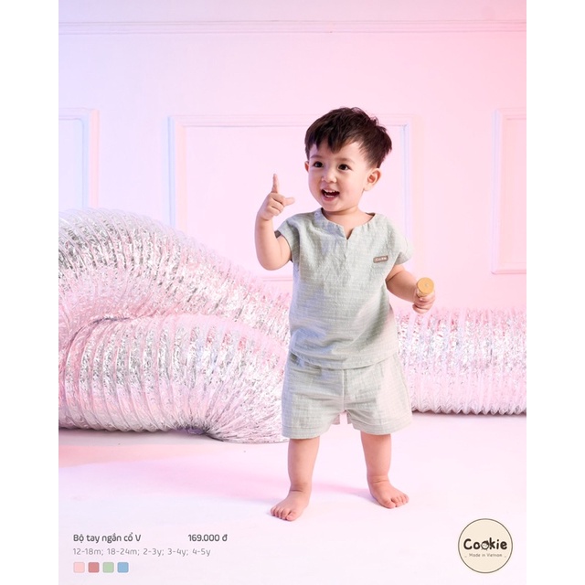 Bộ cộc tay cổ V cookie