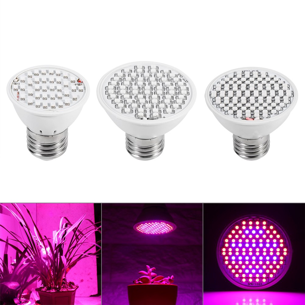 Đèn LED quang phổ toàn phần hỗ trợ trồng cây | BigBuy360 - bigbuy360.vn