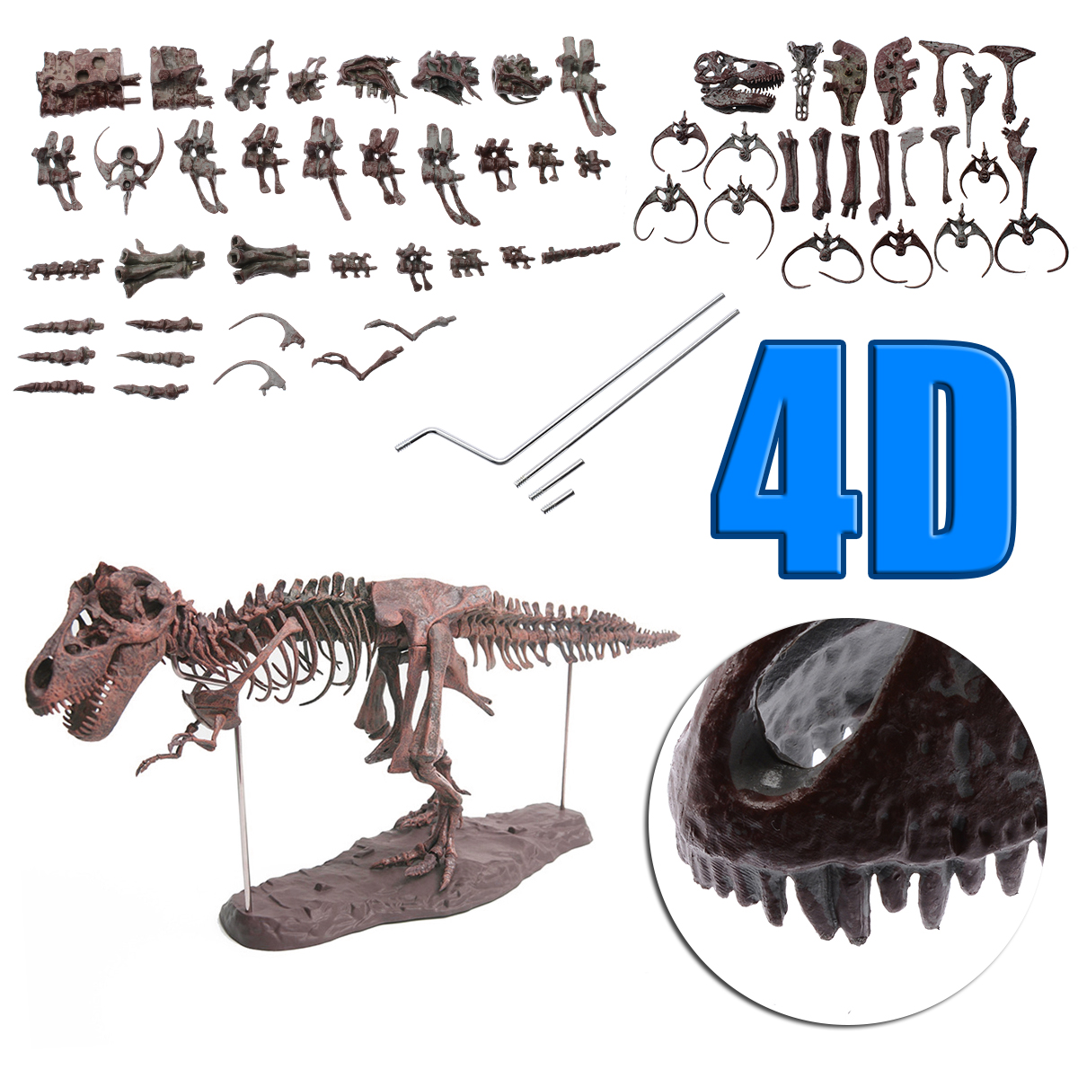 FOSSIL Mới Đồ trang trí Bộ Xương Khủng Long Tyrannosaurus Bằng Pvc Dùng Trang Trí Nhà Cửa