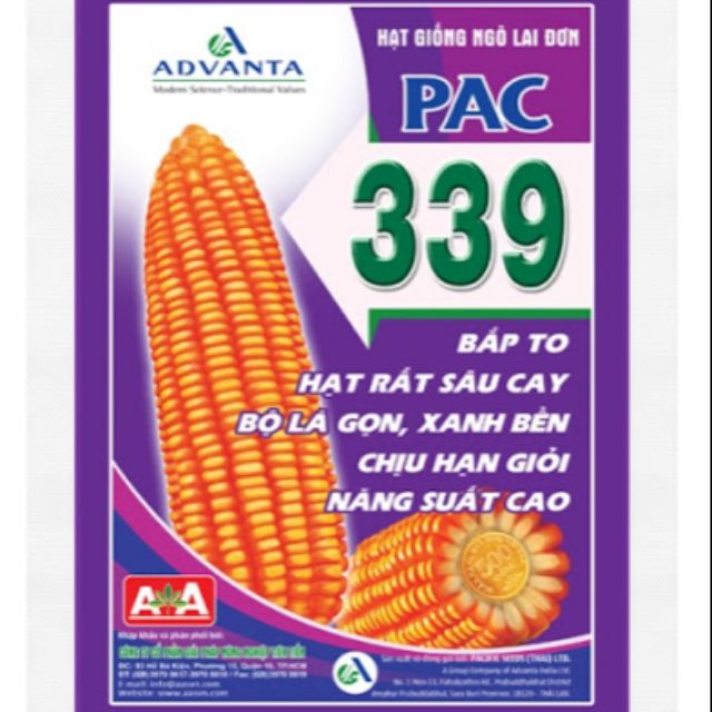 Hạt giống ngô lai đơn 339