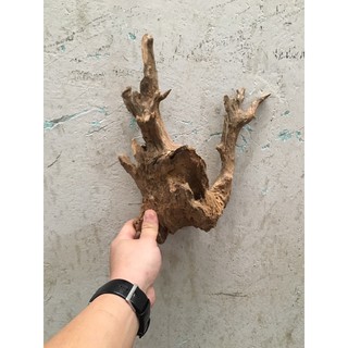 lũa san đá, bìn lin làm thuỷ sinh, ghép lan, bán cạn (bán theo kg)