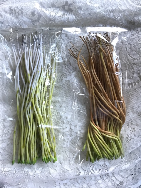 Rễ cắm trang trí