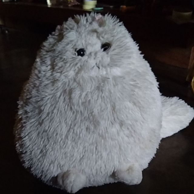 Gấu mèo ú xù