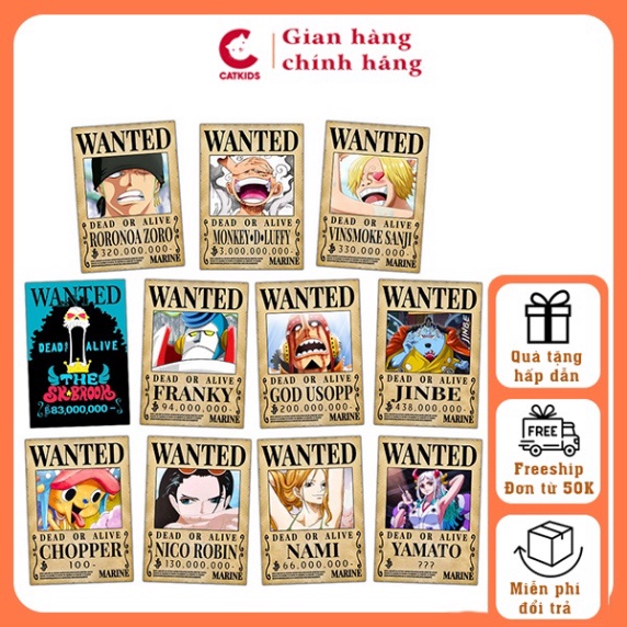 Poster truy nã one piece A3 42*29 cm TO04