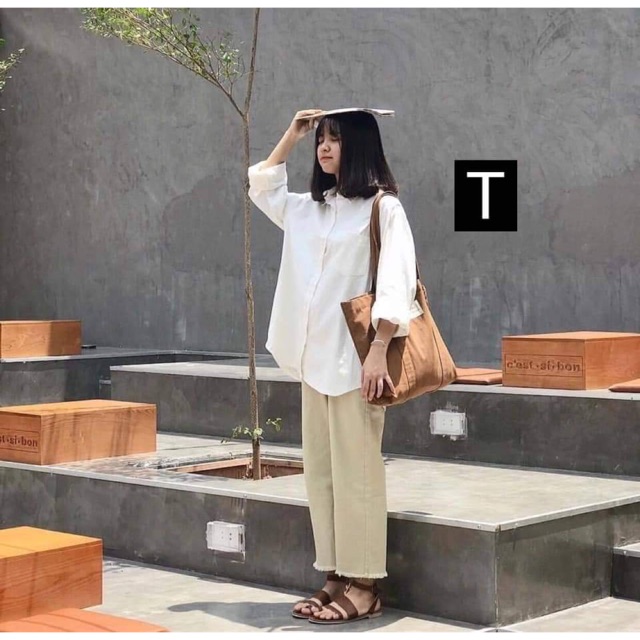 Áo sơmi nữ trơn TTY577