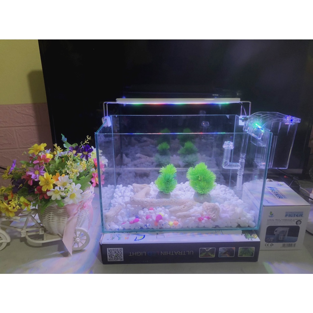 Hồ cá, bể cá cảnh thủy sinh full combo 6 món phụ Kiện D38 R20 H20