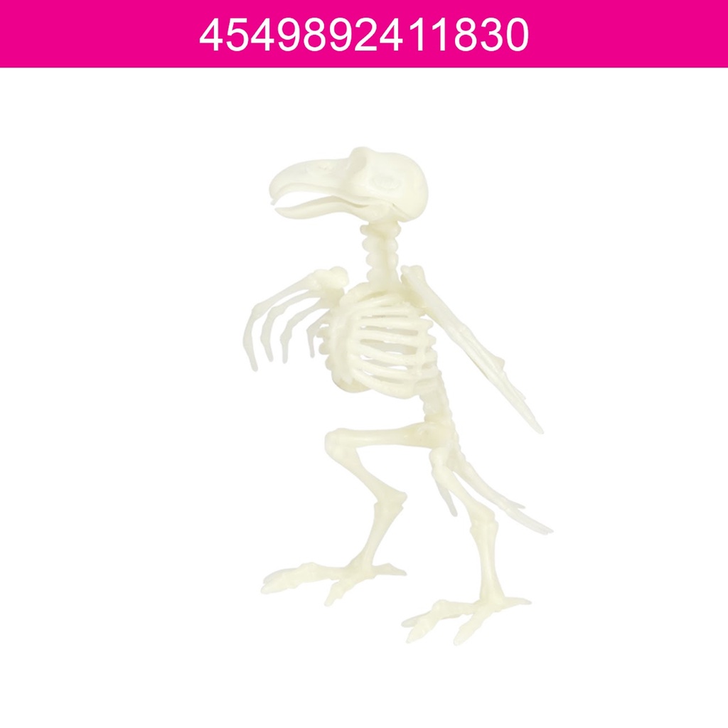 Daiso Halloween Mô hình bộ xương con chim