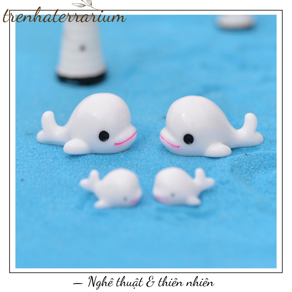 Tiểu cảnh chú cá heo trang trí sen đá, xương rồng, terrarium, charm slime, cây cảnh mini, cây để bàn, đồ trang trí