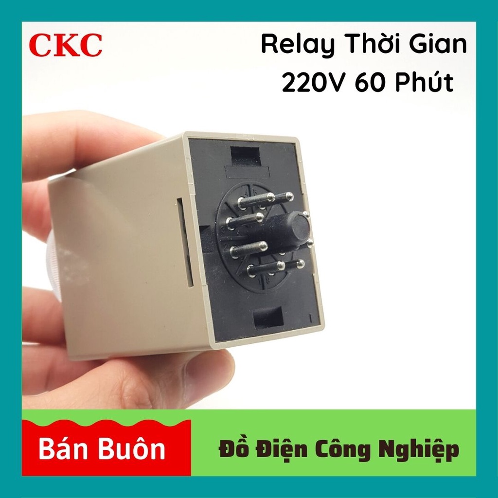 Relay thời gian CKC 220V 60 phút, rơ le thời gian, ckc 220v 60M