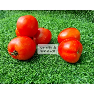 Cà Chua Đà Lạt - 500g, 1kg