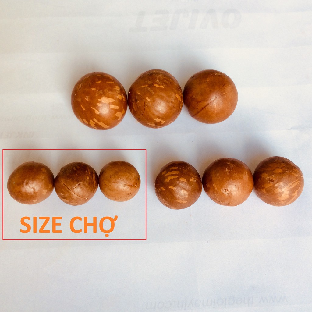 500g Hạt MACCA sấy Lạnh Size CHỢ (19-23mm) | BigBuy360 - bigbuy360.vn