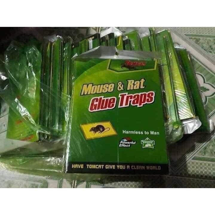 Keo dính bẫy chuột siêu dính Mouse traps xanh trắng